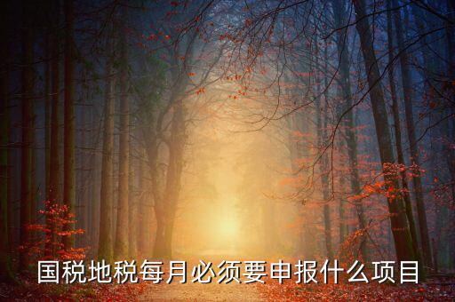 國(guó)稅月初申報(bào)什么，國(guó)稅地稅每月必須要申報(bào)什么項(xiàng)目