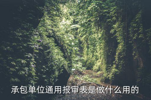 通用申報(bào)是什么意思，申報(bào)是什么意思
