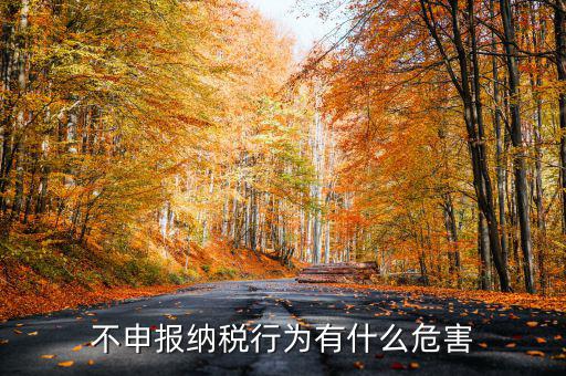 0申報稅沒有報會有什么影響，不申報納稅行為有什么危害