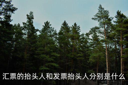 發(fā)票司稱人什么意思，匯票的抬頭人和發(fā)票抬頭人分別是什么