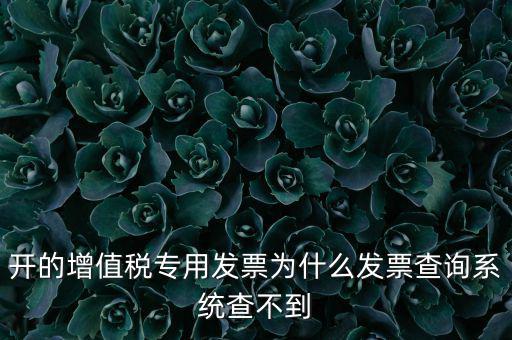 開(kāi)的增值稅專用發(fā)票為什么發(fā)票查詢系統(tǒng)查不到