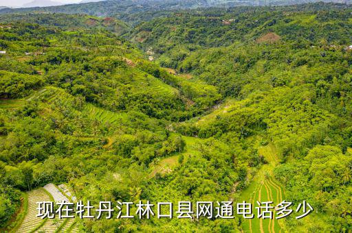 林口縣稅務(wù)局電話號碼是什么，現(xiàn)在牡丹江林口縣網(wǎng)通電話多少