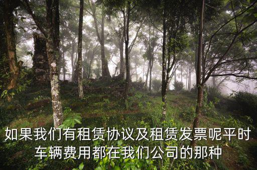 如果我們有租賃協(xié)議及租賃發(fā)票呢平時車輛費(fèi)用都在我們公司的那種