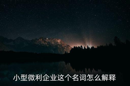 微利成公司是什么意思，小型微利企業(yè)這個(gè)名詞怎么解釋