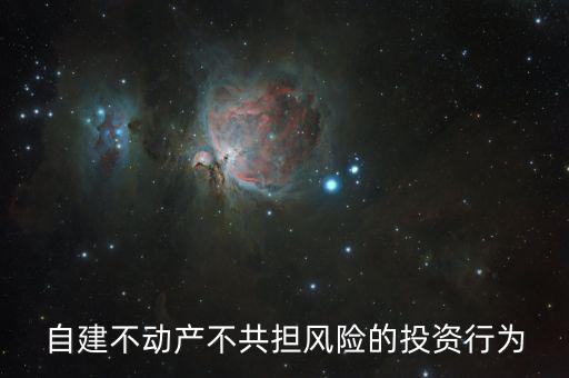 自建不動產(chǎn)不共擔風險的投資行為