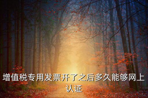 增值稅專用發(fā)票開了之后多久能夠網(wǎng)上認(rèn)證