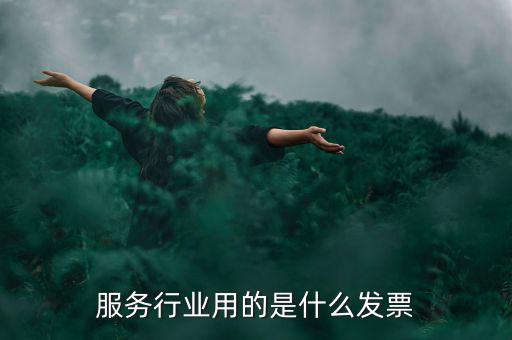 服務(wù)業(yè)發(fā)票是什么發(fā)票，服務(wù)發(fā)票是不是普通發(fā)票的一種