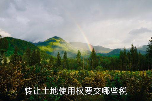 轉讓土地使用權要交什么稅，轉讓土地使用權要交哪些稅