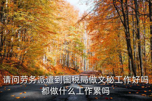 國稅局文秘主要寫什么，公務(wù)員國稅局基層局科員和辦公室文秘哪個好