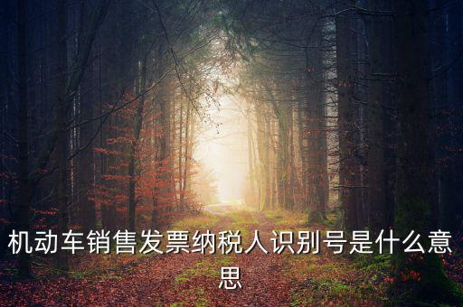 機(jī)動車銷售發(fā)票納稅人識別號是什么意思