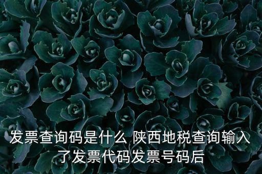 發(fā)票查詢碼是什么 陜西地稅查詢輸入了發(fā)票代碼發(fā)票號碼后