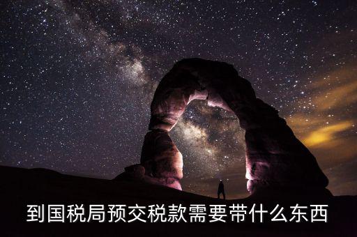 預(yù)繳稅金需要什么資料，到國稅局預(yù)交稅款需要帶什么東西