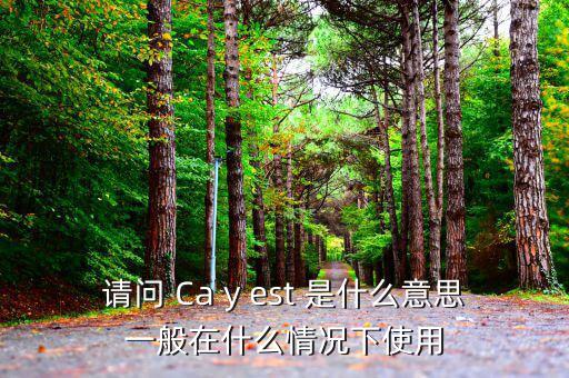 ca棒有什么作用是什么意思，CA的全稱是什么它的具體作用是什么