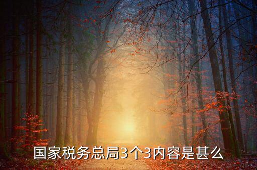 國家稅務總局3個3內(nèi)容是甚么