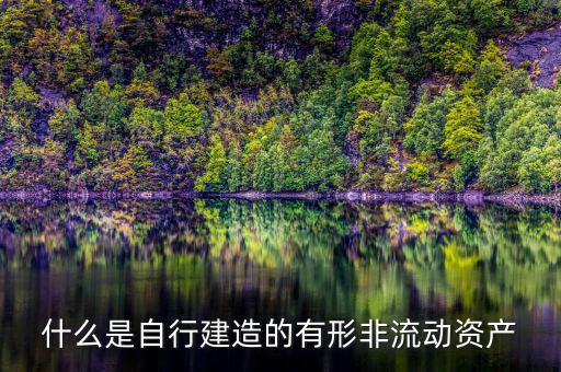 什么叫自建不動產(chǎn)，自建不動產(chǎn)不共擔(dān)風(fēng)險的投資行為