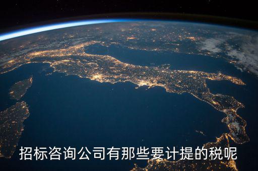 招標(biāo)咨詢公司有那些要計提的稅呢