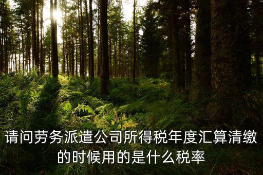 派遣選擇什么稅目，勞務(wù)派遣公司應(yīng)交什么稅種