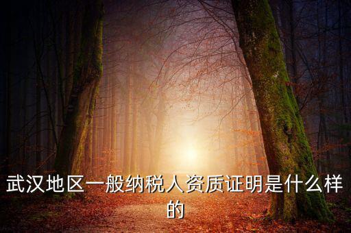 納稅資質(zhì)證明是什么意思，什么是稅務(wù)證明