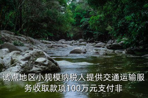 什么向試點地區(qū)納稅人支付費用，4試點地區(qū)內(nèi)一般納稅人向試點地區(qū)內(nèi)一般納稅人支付費用取得增值