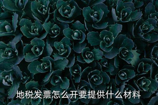 地稅發(fā)票怎么開(kāi)要提供什么材料