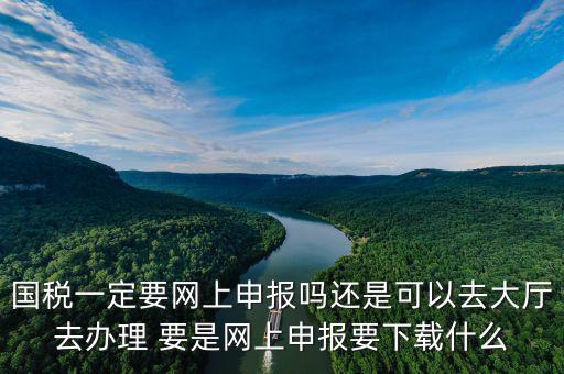 地稅進國稅要下載什么，深圳國地稅想網(wǎng)上申報要下載什么東西嗎