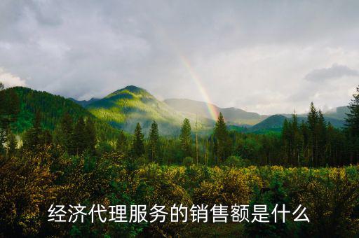 什么是經(jīng)濟代理，請問什么叫經(jīng)濟合同代理人