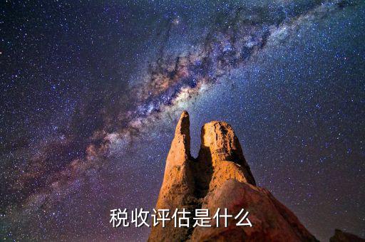 什么叫地稅納稅評估，納稅評估都是評估什么