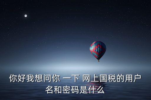 你好我想問你 一下 網(wǎng)上國(guó)稅的用戶名和密碼是什么