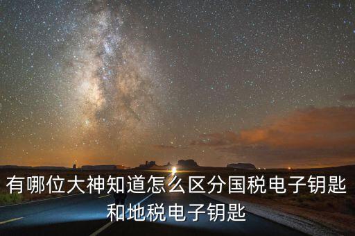 國稅電子鑰匙是什么，稅務(wù)密鑰是什么東西是數(shù)字證書嗎