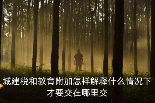 什么時(shí)候有教育費(fèi)附加，子女教育專項(xiàng)附加扣除的起始時(shí)間
