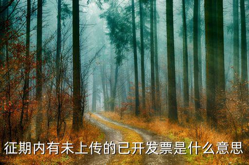 發(fā)票征期什么意思，征期內(nèi)有未上傳的已開發(fā)票是什么意思