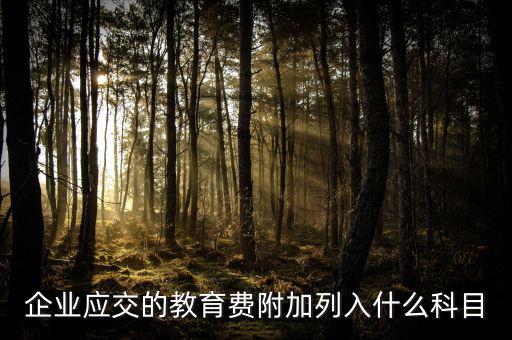 教育費(fèi)附加干什么，教育費(fèi)附加代表什么意思