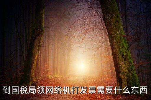 到國稅局領(lǐng)網(wǎng)絡(luò)機打發(fā)票需要什么東西