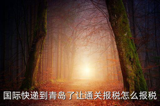 青島物流公司拿什么稅，國際快遞到青島了讓通關(guān)報稅怎么報稅