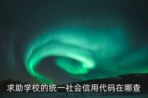學(xué)校的社會信用代碼是什么東西，求助學(xué)校的統(tǒng)一社會信用代碼在哪查