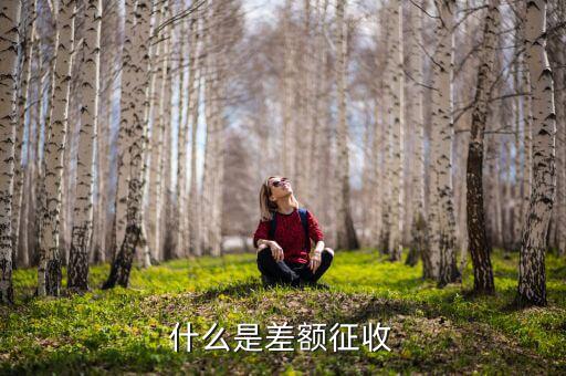 勞務(wù)費(fèi)差額征稅是什么意思，差額稅是啥東西