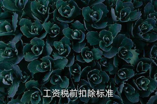 什么是稅前扣除標(biāo)準(zhǔn)，請問差旅費稅前扣除標(biāo)準(zhǔn)是什么