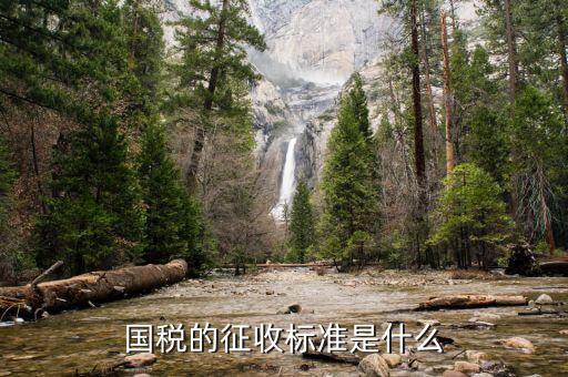 國(guó)稅的征收標(biāo)準(zhǔn)是什么