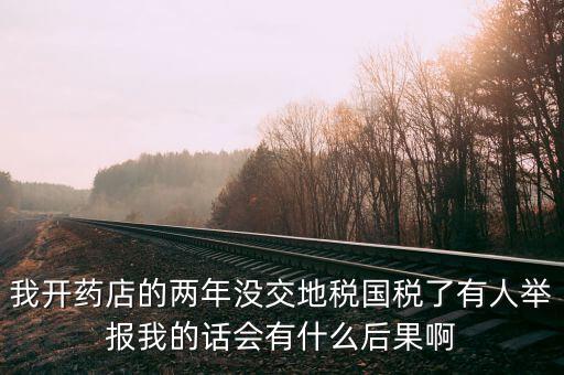國稅舉報有什么后果，我開藥店的兩年沒交地稅國稅了有人舉報我的話會有什么后果啊