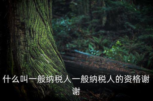 什么是一般納稅人資格證嗎，什么叫一般納稅人一般納稅人的資格謝謝