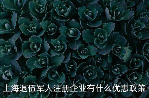 上海退伍軍人注冊企業(yè)有什么優(yōu)惠政策