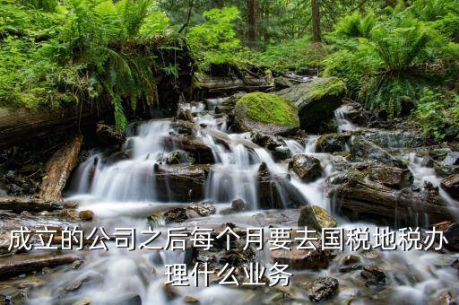 地稅辦什么業(yè)務，地稅局營業(yè)廳辦甚么業(yè)務