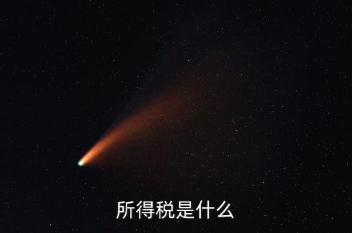 所得稅支出是什么，所得稅是什么