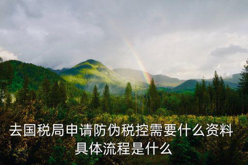 去國稅局申請(qǐng)防偽稅控需要什么資料 具體流程是什么
