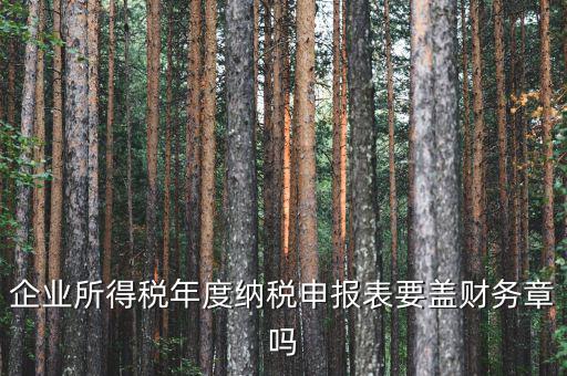所得稅年報(bào)要蓋什么章，企業(yè)所得稅年度納稅申報(bào)表要蓋財(cái)務(wù)章嗎