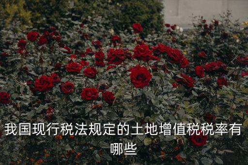 土地增值稅采用什么稅率，土地增值稅應用于哪種稅率形式