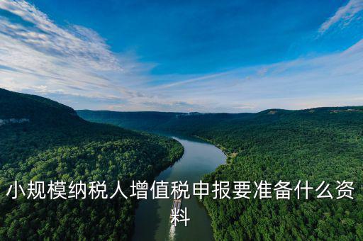 小規(guī)模納稅人增值稅申報要準(zhǔn)備什么資料