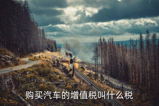 什么是汽車增值稅，什么是汽車增值稅