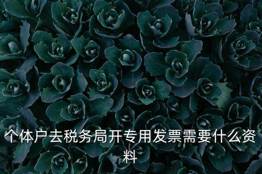 個(gè)體戶開專票需要什么，個(gè)體在國稅局開增值稅專用發(fā)票需要什么資料