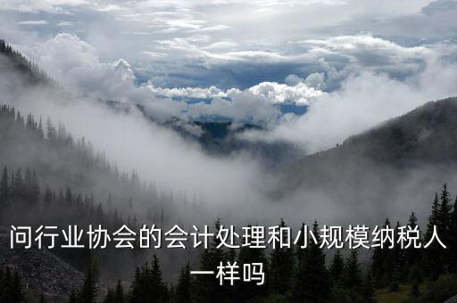 行業(yè)協(xié)會為什么納稅人，問行業(yè)協(xié)會的會計處理和小規(guī)模納稅人一樣嗎